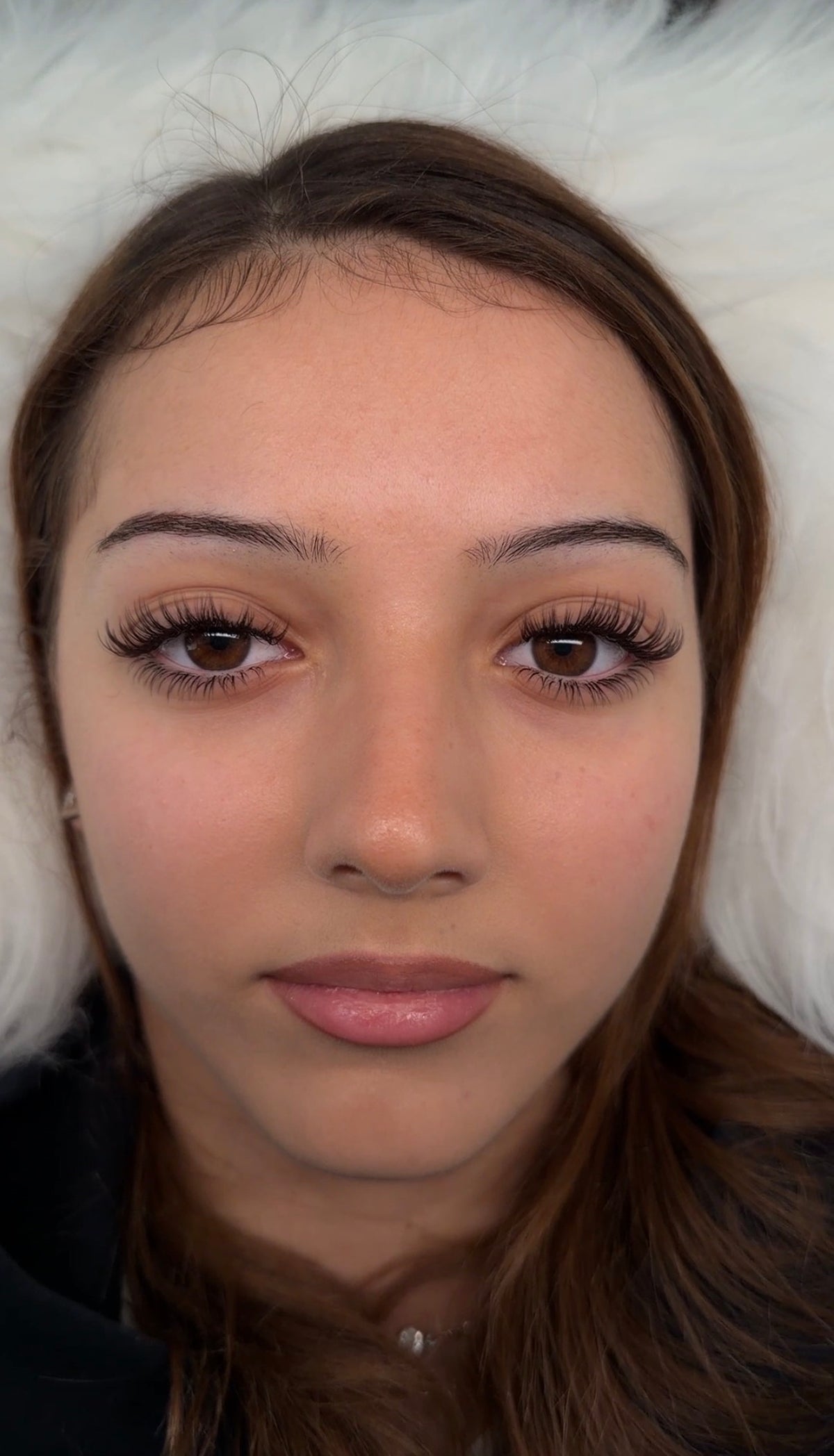 Butter Soft Brown Collection Bundle (best value)